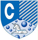 Charles Dickens School  Cobham Blue House Tie