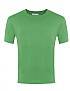 Coloured Polo Shirt