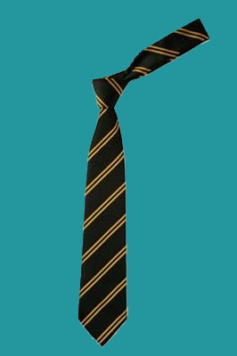 Dane Court School Tie