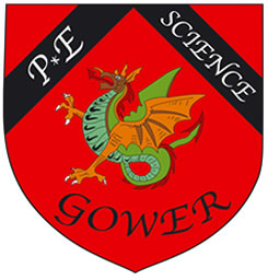 Charles Dickens School Gower Red House Tie