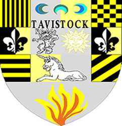 Charles  Dickens School  Tavistock Yellow House Tie