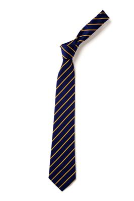 Warden House Primary Tie